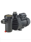 Speck A91 Inground Variable Speed Pump (pump only)